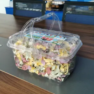 Huisdier Vierkant Scharnierend Deksel Verpakking Salade Voedsel Container Doos Transparant Lege Plastic Bruidstaart Dozen Cake Cup Transparant Doorzichtig