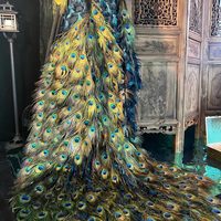 Plumes de paon teintées de 80-90 cm, plumes colorées pour mariage, scène, costume, décoration, usine de plumes HK