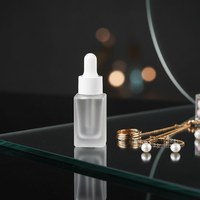 Flacons compte-gouttes carrés en verre dépoli de 10 ml, sérigraphiés, pour huiles essentielles, parfums, voyage, rechargeables, conteneurs cosmétiques