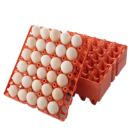 Plateau à œufs en plastique PP réutilisable en gros, 30 alvéoles, pour le transport, le stockage et le lavage des œufs de poule, empilable, durable, Chine