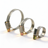 Colliers de serrage pour tuyaux en plastique de haute qualité, réglables, robustes, à boucle, pour fixation de tuyaux d'incendie et d'eau, type « German Throat »