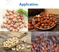 Machine à éplucher les arachides de différentes capacités, machine à éplucher les cacahuètes