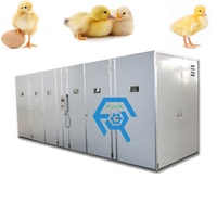 Incubateur d'oeufs de poule à taux d'éclosion élevé 528/880/1231 et machine à couver les oeufs d'éclosion