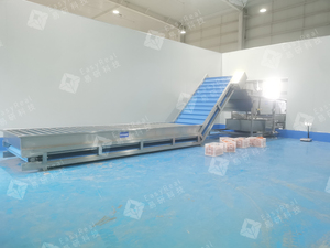 Gıda işleme, meyve yıkama ve sıralama hattı için paslanmaz çelik meyve kemeri asansör konveyörü - Product Image 2