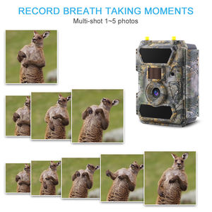 12MP 1080P PIR hareket algılama 940nm camo 65ft gece görüş 3G 4G kablosuz duvar yaban hayatı wildkamera avcılık kamera - Product Image 6