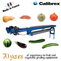 Máquina clasificadora de peso CALIBREX fabricada en Francia para frutas y verduras alargadas y frágiles, y productos grandes como pepinos.