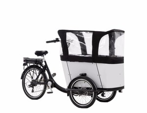 OEM Loading 200kg cargo bike pickup truck crane three wheel cargo tricycle for sale in philippines malaysia