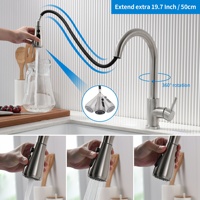Robinet de cuisine professionnel flexible avec douchette extractible, poignée simple ou double, en acier inoxydable brossé, matériau personnalisable
