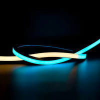 Bande lumineuse LED néon flexible en silicone, profil de diffuseur tubulaire découpable, indice de protection IP67, pour affichage de lettres publicitaires