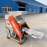 Machine à décortiquer les cacahuètes à haute efficacité, machine à décortiquer les graines d'arachide automatique, machine à éplucher les cacahuètes