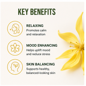 Huile d'Ylang-ylang pure et naturelle de haute qualité, nourrit les cheveux, équilibre la production de sébum, convient aux soins de la peau et des cheveux. - Product Image 4