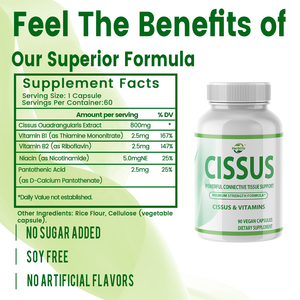 HACCP OEM ODM Cissus y Vitaminas 90 Cápsulas Veganas Fórmula de Máxima Potencia Suplemento Dietético para el Soporte de Huesos y Articulaciones - Product Image 2
