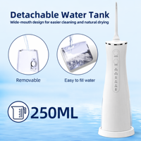 Tragbares Haushalts gerät 250ml Wasser flosser Batterie betriebenes Zahn reinigungs gerät