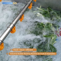 Industriële automatische belletjeswasmachine voor het reinigen van fruit en groenten in de voedselverwerkingslijn