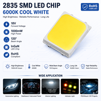 Puce LED SMD 2835 6000K Blanc Froid 18V Haute Luminosité Diode InGaN 120° RoHS 1000mW Encapsulation Silicone pour Voiture
