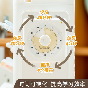 Visual Mechanical Timer For Kids Time Management Self Discipline Check In Device White Plastic Toy Watch - Product Image 5