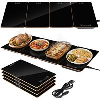 Bandeja Calentadora Modular Plegable con Batería, Tabla de Aislamiento para Mesa de Comedor, Fiestas, Buffet y Servicio de Alimentos