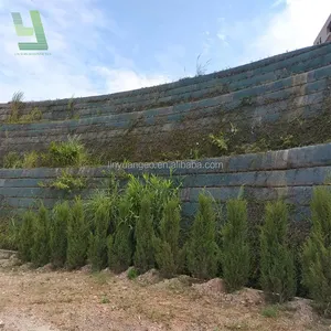Mềm đất gia cố Polyester geogrids vật nuôi geogrid sông ngân hàng gia cố giữ lại tường geogid giá