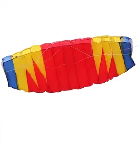 2m ripstop nylon dual line parafoil Kites and flame design power kites