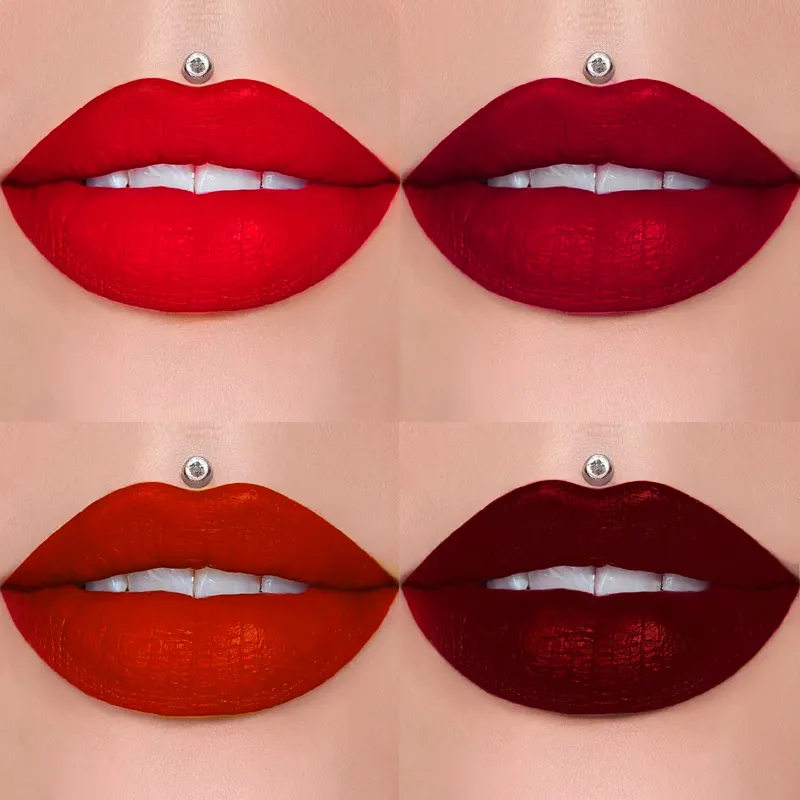 New private label make up Matte Liquid Lipstick Lip Kit makeup lipgloss