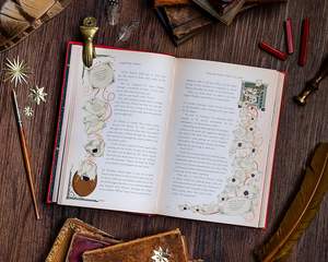 <span class=keywords><strong>Harry</strong></span> <span class=keywords><strong>Potter</strong></span> y la <span class=keywords><strong>Piedra</strong></span> Filosofal (<span class=keywords><strong>Harry</strong></span> <span class=keywords><strong>Potter</strong></span>, Libro 1) (Edición MinaLima) (Edición Ilustrada Interactiva) (1) - Product Image 5