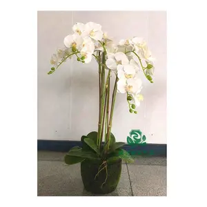 Zhen xin qi el sanatları orkide yapay çiçekler 18 "yosun ile beyaz Phalaenopsis orkide saksılar