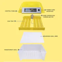 Incubateur numérique automatique pour volailles, capacité de 48 œufs : outils d'incubation idéaux pour l'éclosion des poussins, des cailles et des oies