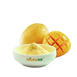 Polvo de jugo de mango secado en aerosol personalizado sin gluten natural para condimentar bebida en polvo instantánea pastel pan galletas yogur