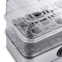 Bouilloire à œufs multifonction RAF, nouveau design, double empilement, fonctionnement à un bouton, protection contre la surchauffe, pour la cuisine