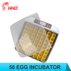 Incubateur automatique pour œufs de poulet de petite taille, fabrication directe, incubateur automatique pour 56 œufs de canard, pour la fabrication maison - Product Image 2