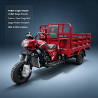 Tricycle de fret à trois roues avec moteur à essence refroidi par air 03BL4 200CC pour transport lourd
