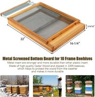 Nouvelle ruche Langstroth en métal et bois avec fond grillagé, réducteur d'entrée en cire d'abeille 100%, planche séparée pour 10 cadres