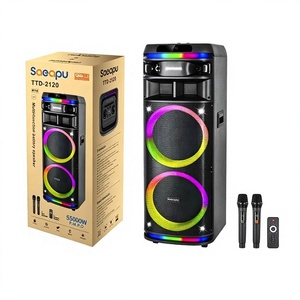 OEM Özel Çift 12 İnç Taşınabilir Kablosuz Hoparlör Sistemi, 2 Kablosuz Mikrofonlu ve Şarj Edilebilir Pilli 5.1 Surround Ses Kutusu - Product Image 2