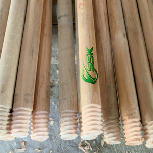 Portable 2 1 Garden Broom Wooden Handle Natural Eucalyptus Eco-Friendly Durable Waterproof Extendable Furniture Toilet Use - Product Image 1