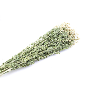 Ramo de Flores Secas de Margarita Pequeña, Decoración de Salón, Crisantemo Silvestre, Flor Seca, Adorno Fresco Pequeño - Product Image 4