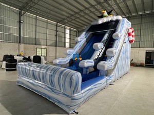 Nhà máy trực tiếp trẻ em thổi lên thư bị trả lại công viên trượt nước thương mại trượt nước Inflatable trượt với hồ bơi - Product Image 6