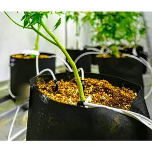Tessuto coltiva la borsa per coltivazione Micro verde di patate per piante idroponiche