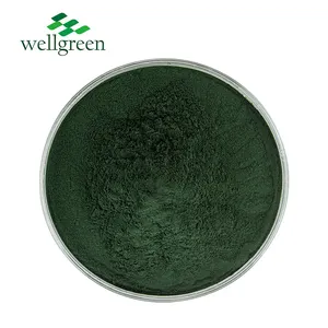 Pigmento alimenticio de alta calidad, extracto de Alage, espirulina verde E6 E18, polvo de espirulina