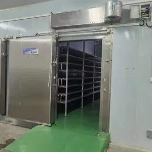 Eersteklas Industriële Automatische Diepvriesmachine Voor Het Ontdooien Van Vlees/Ontdooiapparatuur