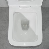 WC en céramique à deux pièces, sans bride, à fond carré, avec bouton de chasse d'eau vertical de 180 mm, fabriqué en Australie par MWD Factory, avec filtre à eau