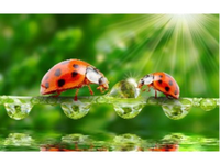 JiangXing moderne mode toile art 5d bricolage diamant peinture 5d paysage diamant art peinture