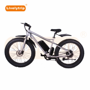 26 inch 1000 W high power brushless motor Gearless electric mountain <span class=keywords><strong>bike</strong></span> with CE - Product Image 3