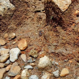 โรงล้างเหมืองเคลื่อนที่สำหรับบริษัทเหมืองแร่อุปกรณ์เครื่องจักรทำเหมืองคุณภาพสูง - Product Image 6