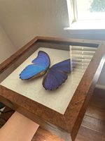 Marcos Personalizados de Alta Calidad al por Mayor, Marcos de Exhibición 3D para Colgar en la Pared, Marcos de Caja de Sombra con Vidrio