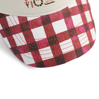 Casquette de baseball structurée à 5 panneaux en 100 % coton, personnalisée OEM HBA54, visière incurvée, broderie 3D, unisexe, pour décorations de fêtes, vente en gros