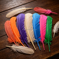 Plumes de dinde sélectionnées à la main pour la chapellerie, les fascinators et les coiffes de mariée, les décorations de Noël, les décorations d'Halloween et les accessoires du Nouvel An