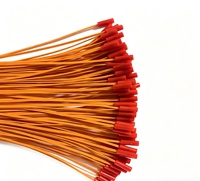 Allumeur électrique pour feux d'artifice et pétards, fil de cuivre de 0,3 m, allumette à fusible