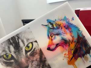 Imprimante UV pour encres d'impression souples compatibles XP600 F1080 I1600 I3200 L800 têtes d'impression 500ML vernis blanc par bouteille 1000ML - Product Image 6