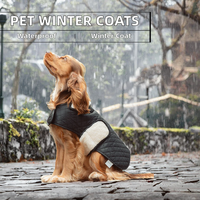 Vêtements pour chiens Teckel personnalisés en gros : Manteaux, gilets ajustables et vestes d'hiver pour animaux de compagnie