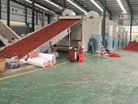Machine de séchage à air à bande transporteuse multi-couches à économie d'énergie, idéale pour sécher les tranches de mangue, l'ail, les pommes et le gingembre